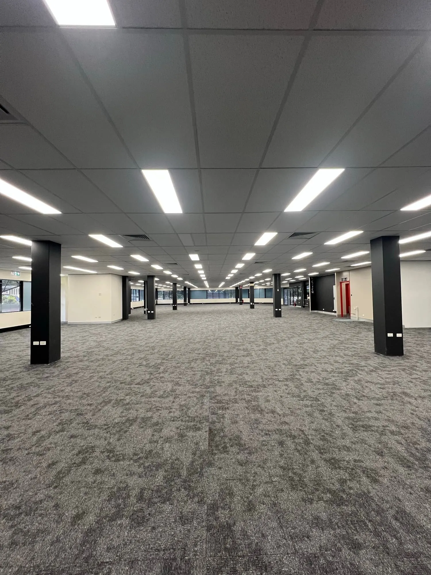 Open-plan commercial office floor with new carpet tiles and suspended ceiling on the Coffs Coast