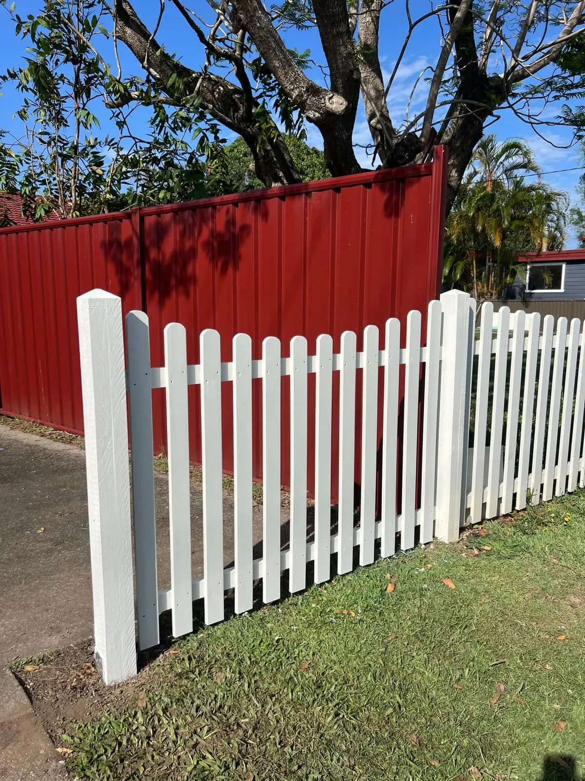 New white timber picket fence installed on the Coffs Coast