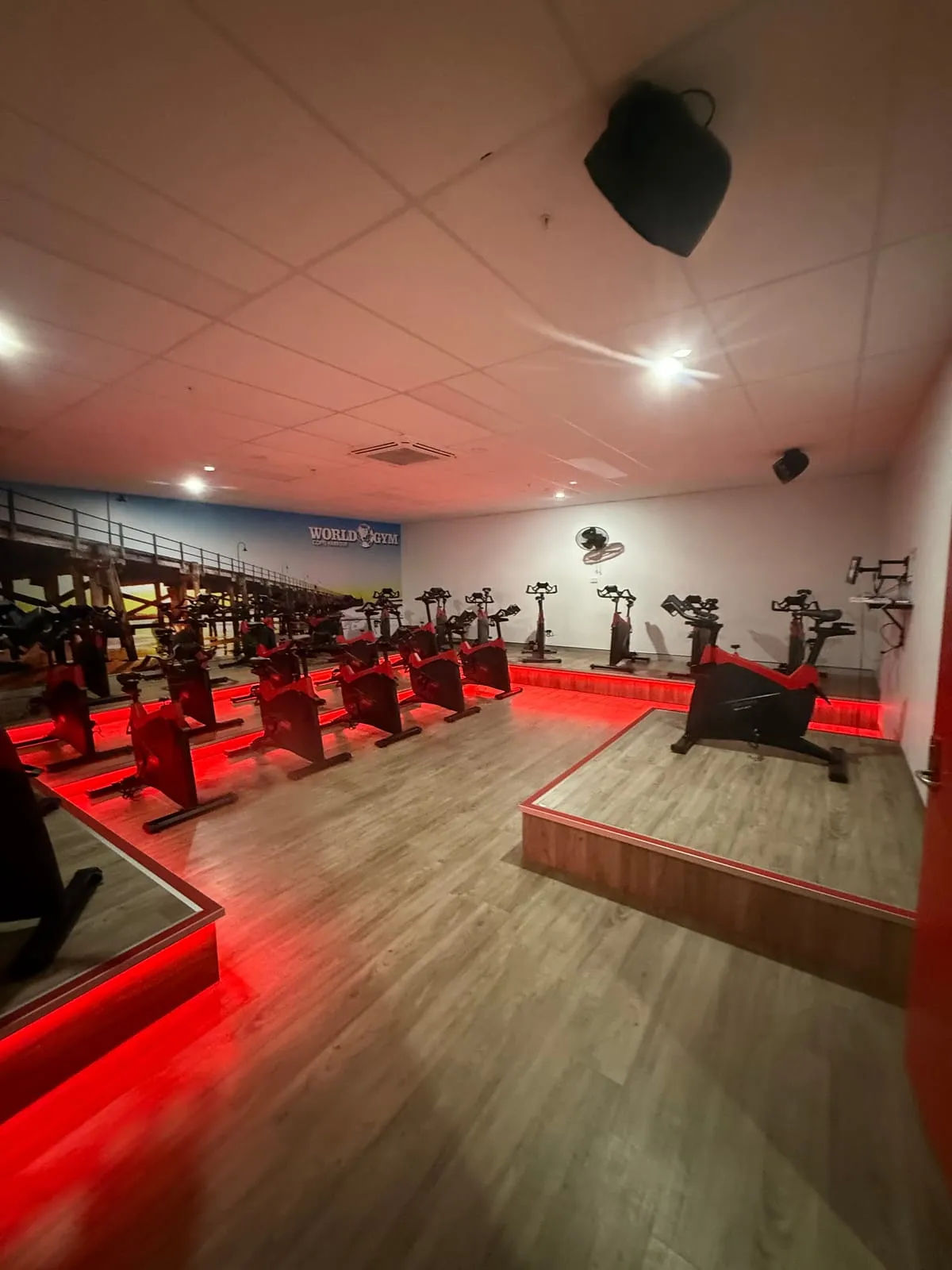 Main gym floor at World Gym Coffs Harbour under red feature lighting
